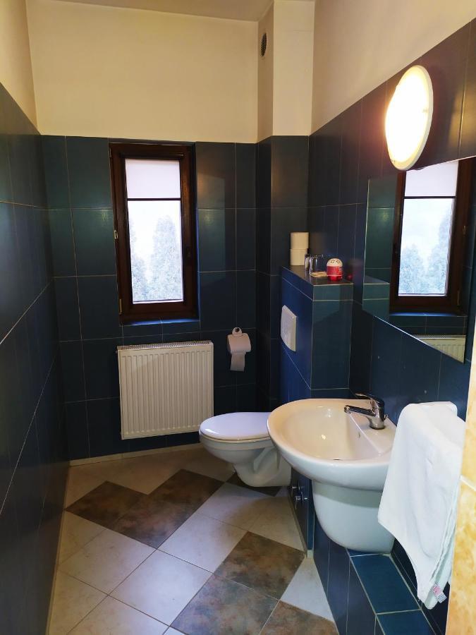 Gosciniec Czarci Mlyn Bed & Breakfast Bedzin
